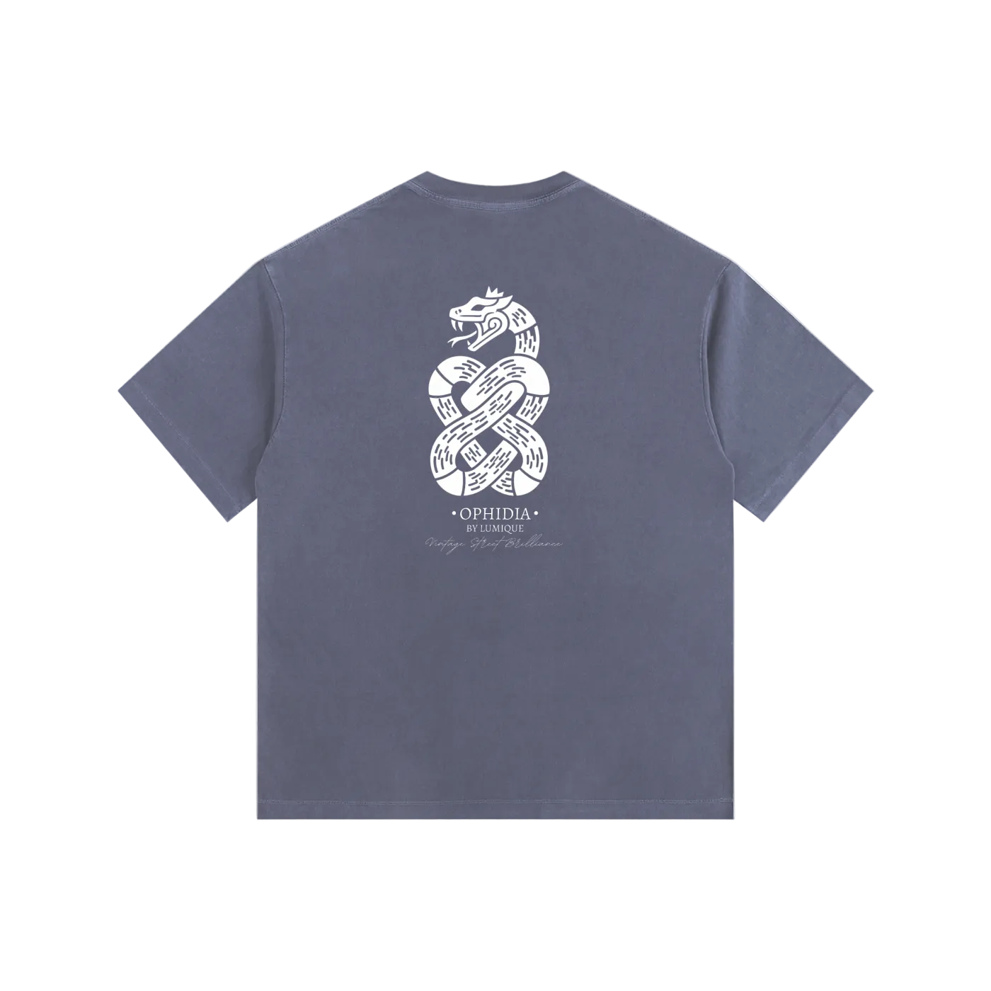 Oversized, Ophidia, Tshirt