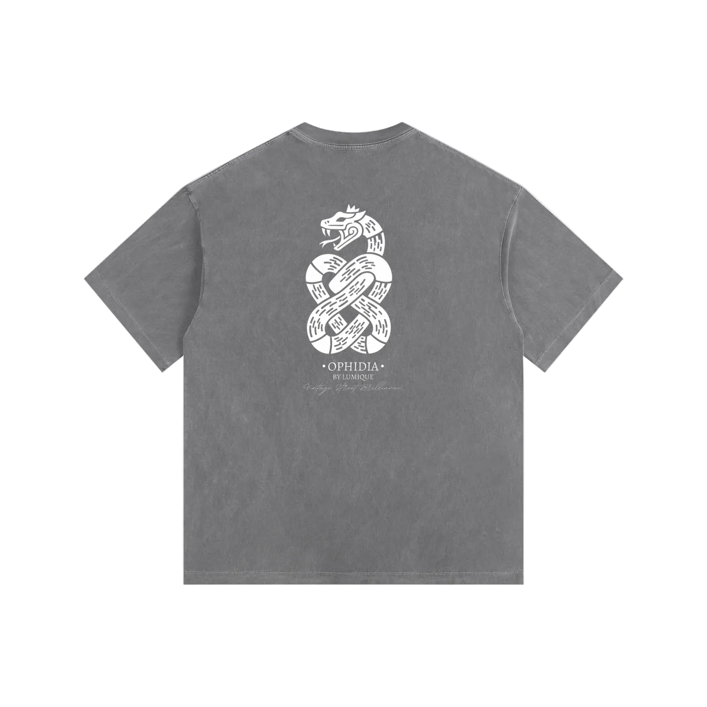 Oversized, Ophidia, Tshirt